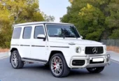 Mercedes-Benz G 63 AMG Std 4.0-litre turbocharged V8 engine